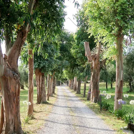 Locazione Turistica Agriturismo Ada Musso * Oneglia